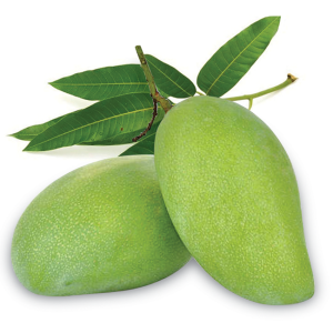 Green Mango Elefant / Xoai Tuong 900g-1000g - Hikifood