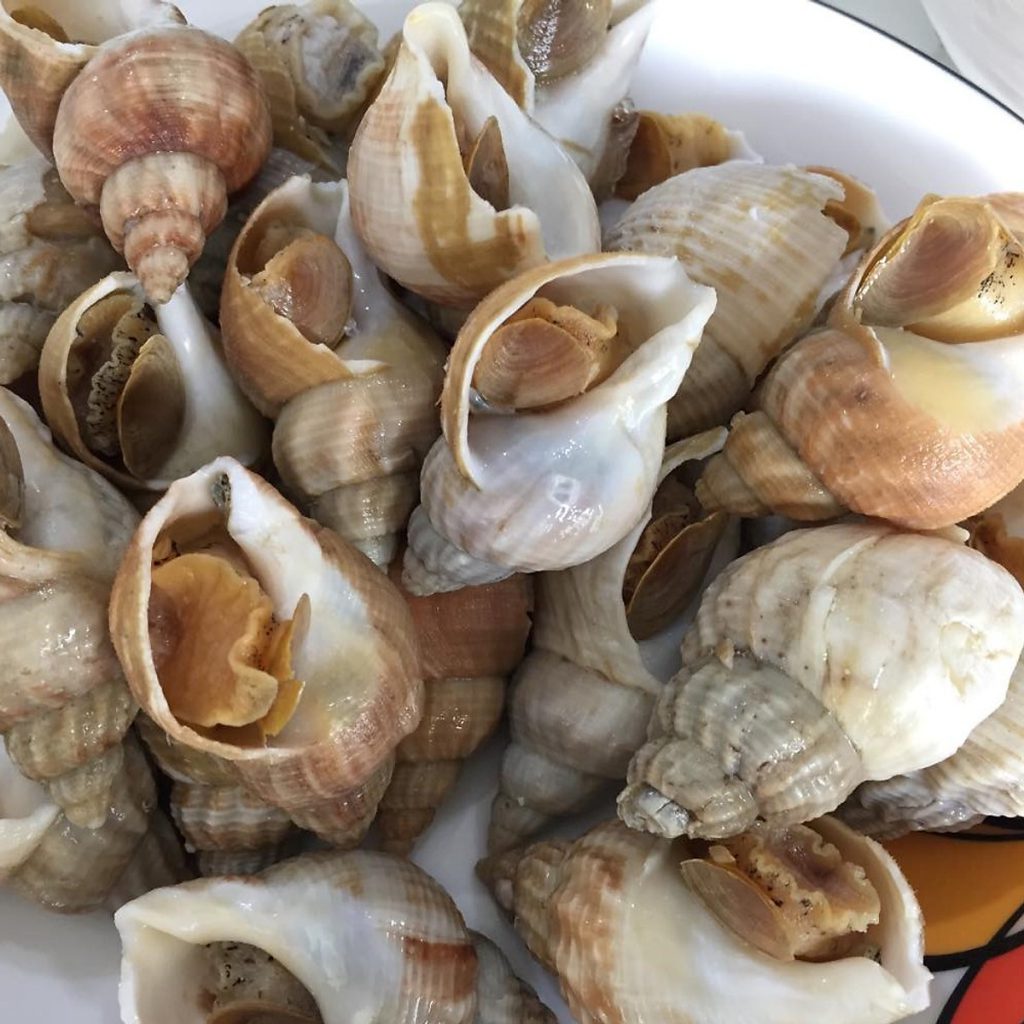 CR - Fresh Whelks 45-60 Piecies 1 Kg/ Oc Huong Phap Size Nho - Hikifood